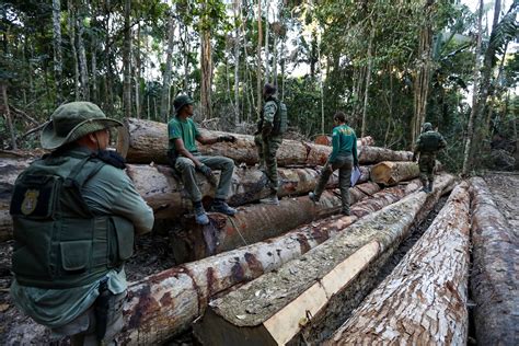 Illegal Logging - GIS Use Cases | Atlas - coolestguyplanet.net