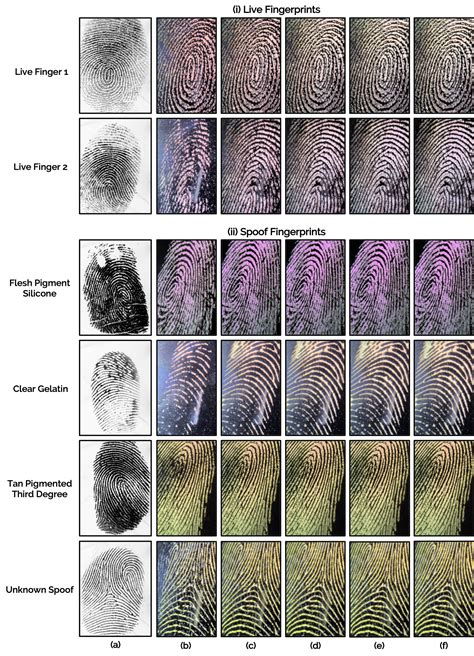 Illumination-Aware Contactless Fingerprint Spoof Detection via Paired ... - muktibox.com