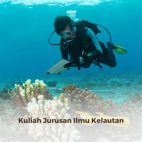 Ilmu Kelautan - Info Kuliah & Prospek Kerjanya | Rencanamu - raincitystudios.com
