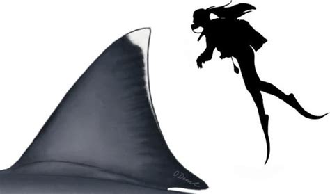 Ilmuwan Ungkap Ukuran Asli Megalodon - raincitystudios.com