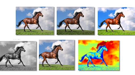 image processing - How to test accuracy of … - coolestguyplanet.net