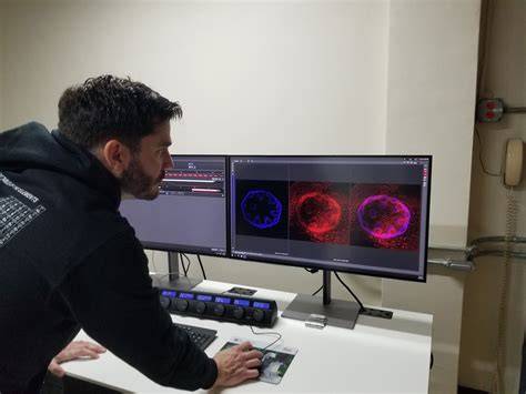 Imaging Innovation Initiative - Marine Biological Laboratory - raincitystudios.com