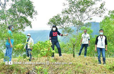 Impact Assessment of the National Greening Program of the DENR: … - raincitystudios.com
