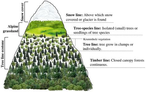 Impact of climate change on alpine vegetation of … - muktibox.com