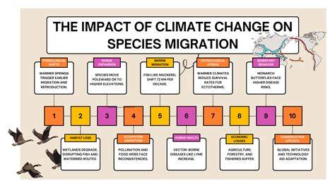 Impact of climate change on species | WWF - raincitystudios.com