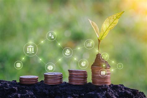 Impact of digital banking on financial inclusion for rural SMEs ... - wintechmobiles.com