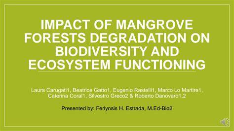 Impact of mangrove forests degradation on biodiversity and … - raincitystudios.com
