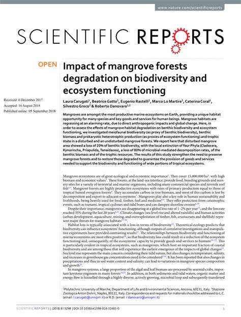 Impact of mangrove forests degradation on biodiversity and ecosystem ... - raincitystudios.com