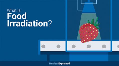 Impact of Microwave Irradiation on Food Composition - wintechmobiles.com