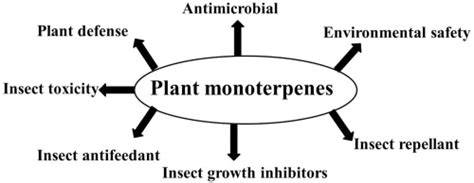 Impact of plant monoterpenes on insect pest management and insect ... - raincitystudios.com