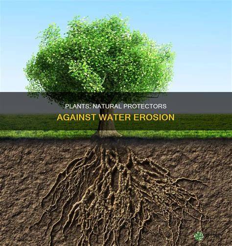 Impact of plant roots on the resistance of soils to erosion by water: A ... - raincitystudios.com
