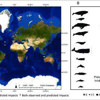 Impacts of climate change on cetacean distribution, … - raincitystudios.com