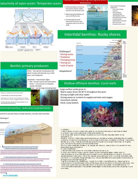 Impacts of Ocean Acidification on Marine Ecosystems - raincitystudios.com