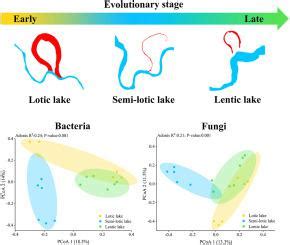 Impacts of oxbow lake evolution on sediment microbial community ... - wintechmobiles.com