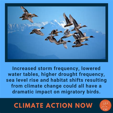 Impacts on avian migratory patterns due to climate change ... - Springer - muktibox.com