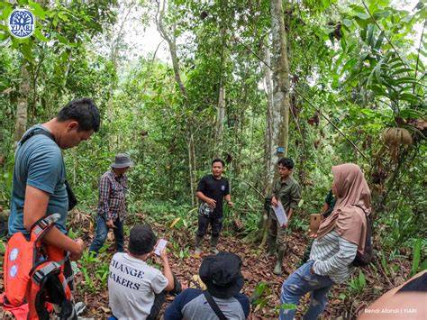 IMPLEMENTASI KEBIJAKAN PERLINDUNGAN HUTAN DI KAWASAN HUTAN LINDUNG ... - raincitystudios.com