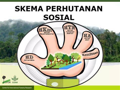 IMPLEMENTASI PROGRAM PERHUTANAN SOSIAL DENGAN SKEMA HUTAN ... - raincitystudios.com