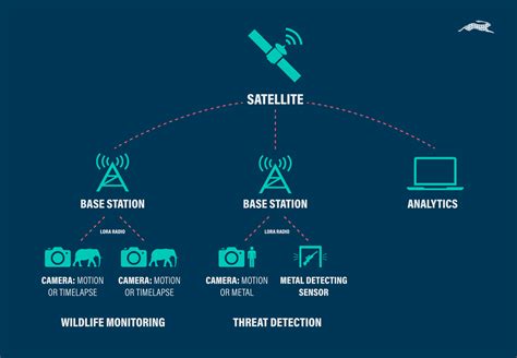 Implementing a Wildlife Monitoring and Identification System ... - coolestguyplanet.net