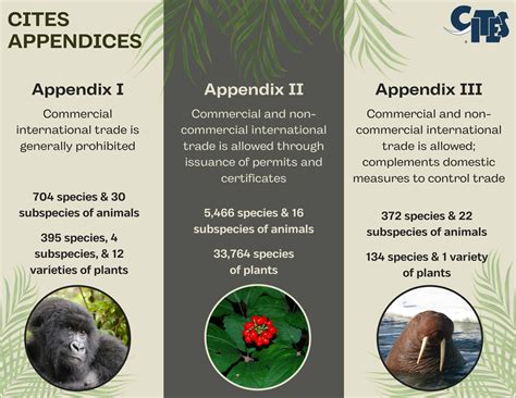 Implementing CITES Appendix II listings for marine fishes: a novel ... - raincitystudios.com