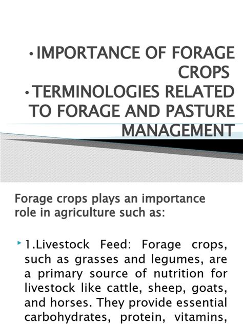 Importance of Forage Crops in Agriculture for Livestock … - raincitystudios.com