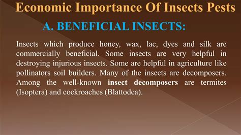 Importance Of Insects - muktibox.com