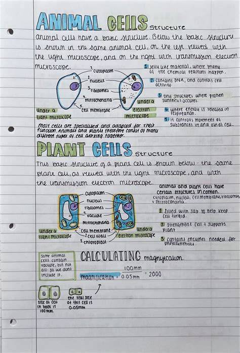 Importance of Mammals ( Read ) | Biology | CK-12 … - raincitystudios.com