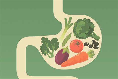 Importance of Nutrition to the Digestive System | Contemporary Health ... - muktibox.com