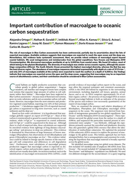 Important contribution of macroalgae to oceanic carbon ... - Nature - raincitystudios.com