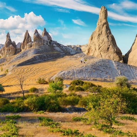 Important Plant Area (IPA) - Plantlife - wintechmobiles.com