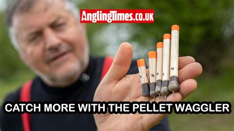 Improve your pellet waggler fishing | Rig and tactics guide - raincitystudios.com