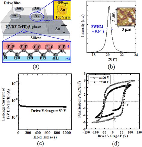 Improved Formation of Polar Phase in P(VDF‐TrFE) Through Adding ... - wintechmobiles.com