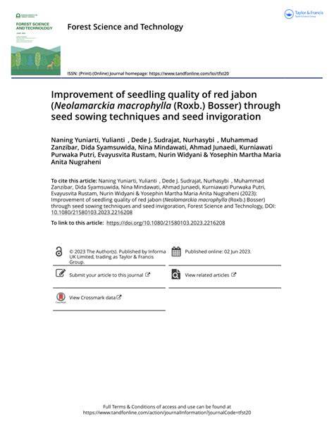 Improvement of seedling quality of red jabon … - raincitystudios.com