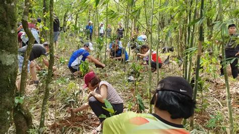 Improving Community-Based Forest Management and … - raincitystudios.com