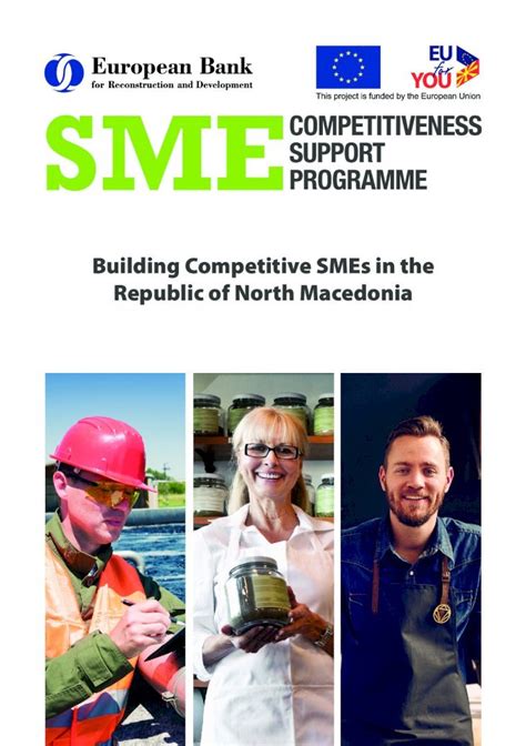 IMPROVING THE COMPETITIVENESS OF SMEs …