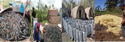 Improving traditional charcoal production system for sustainable ... - raincitystudios.com