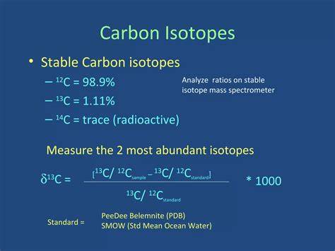 in Indonesian Borneo using stable carbon isotopes - JSTOR - raincitystudios.com