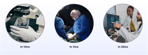 In Silico Testing and Preliminary Plant Design of Antidiabetic Melinjo ... - raincitystudios.com
