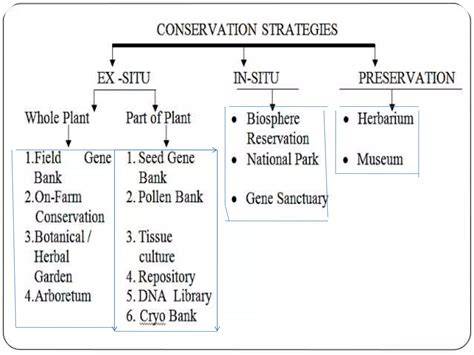 In Situ and Ex Situ Conservation of Plant Genetic Resources and ... - raincitystudios.com