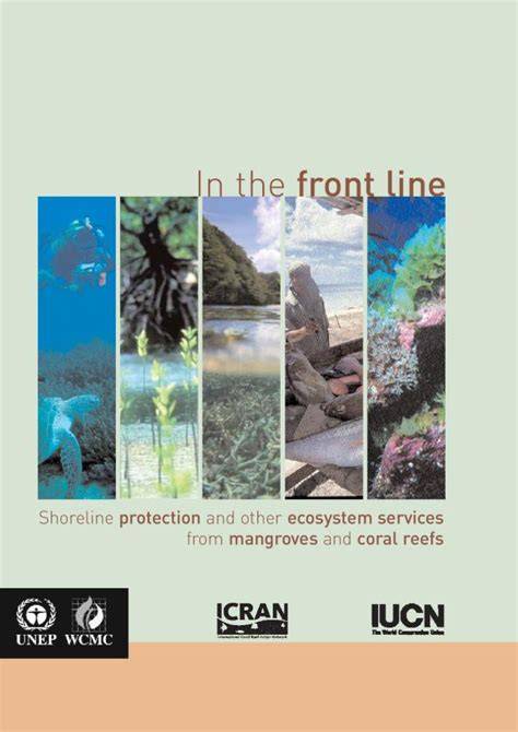 In the front line: shoreline protection and other ecosystem services ... - raincitystudios.com