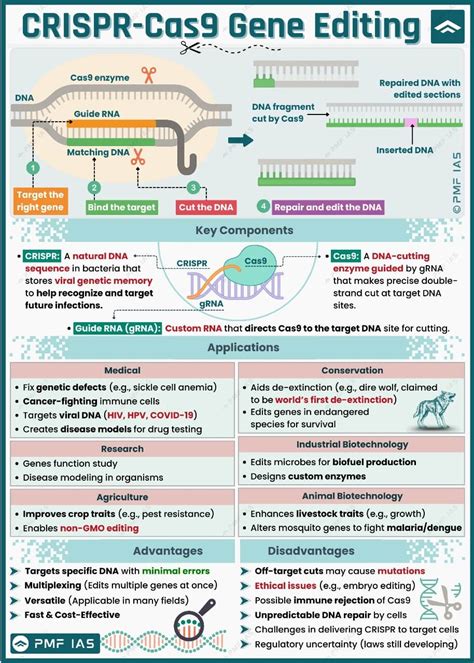 In-Depth Exploration of CRISPR-Cas9 Technology - Prezi - muktibox.com