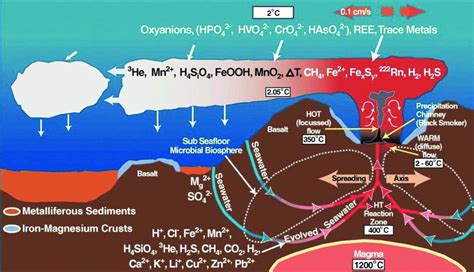 Inactive hydrothermal vent microbial communities are important ... - raincitystudios.com