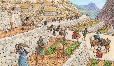 Incan Farming Style & Crop Rotation: Secrets of Inca Terraces - wintechmobiles.com