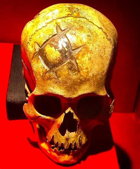 Incan skull surgery - Science News - wintechmobiles.com