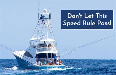 Inclusion of a mandatory speed limit for boats within the measures of ... - raincitystudios.com