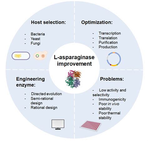 Increasing the Production of L-Asparaginase From - Springer - wintechmobiles.com