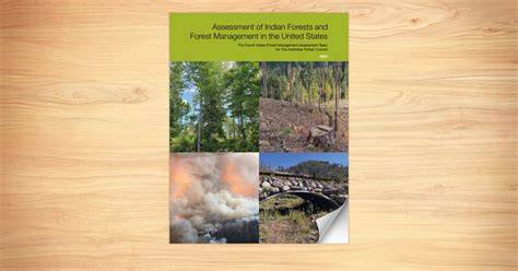 Indian Forest Management Assessment - raincitystudios.com