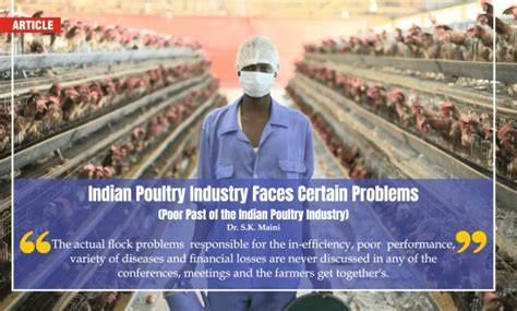 Indian Poultry Industry :- Challenges, Problems and … - raincitystudios.com