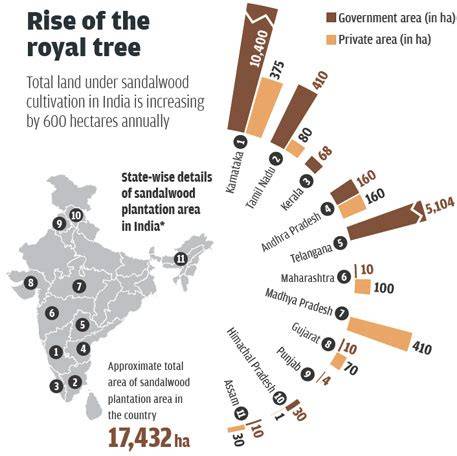 Indian Sandalwood Cultivation Prospects in India - Springer - raincitystudios.com