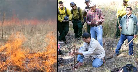 Indigenous Fire Practices Shape our Land - U.S. - wintechmobiles.com