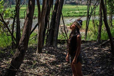 Indigenous land rights key to curbing deforestation and … - raincitystudios.com